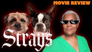 Strays Movie Review [upl. by Raynold688]