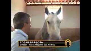 EDGAR BARBOSA  HARAS RECANTO DAS PEDRAS [upl. by Noiztneb937]