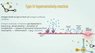 Hypersensitivity  Chapter 3 Type 3 Hypersensitivity Reaction [upl. by Atilek561]