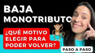 BAJA MONOTRIBUTO 🔥​ Causas y Consecuencias  PASO a PASO ​AFIP [upl. by Asila]