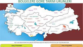 BÖLGELERE GÖRE TARIM ÜRÜNLERİ KPSS COĞRAFYA [upl. by Nimrahc837]