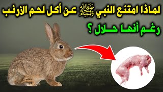 لماذا رفض النبي ﷺ أكل لحم الأرنب رغم انها حلال ؟ لن تاكلها بعد اليوم [upl. by Ecart]