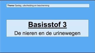 VMBO 4  Opslag uitscheiding en bescherming  Basisstof 3 De nieren en urinewegen [upl. by Raddy]