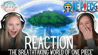 The Breathtaking World Of  ONE PIECE  Reaction 💕 [upl. by Rayford297]