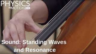 Sound Standing Waves and Resonance  Physics in Motion [upl. by Aaron]