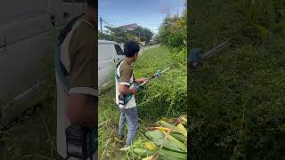 Makita UN001G Cordless Pole Hedge Trimmer shortvideo tools shortsfeeddiytoolsgardendesigntools [upl. by Martine]