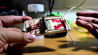 Building a Mousetrap Car Part 2 of 4 [upl. by Ecinreb]