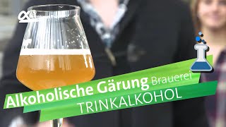 Trinkalkohole die alkoholische Gärung  alpha Lernen erklärt Chemie [upl. by Edlihtam]