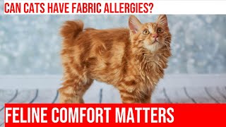 Can Cats Develop Allergies to Bedding Fabrics Heres What You Need to Know [upl. by Amund44]