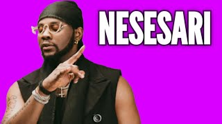 Kizz Daniel  NESESARI Music Video  Afrobeats [upl. by Walcoff]