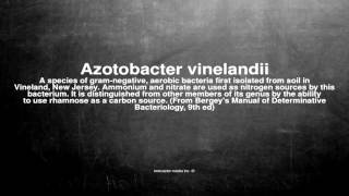 Medical vocabulary What does Azotobacter vinelandii mean [upl. by Dorkus]