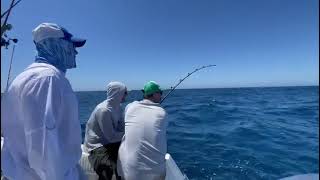 How is tuna fishing guys [upl. by Vena]