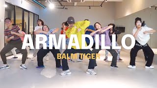 CHOREOGRAPHY ｜ ‘ARMADILLO’ Dance Choreography [upl. by Addie]