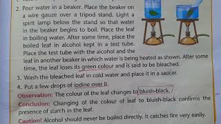 Iodine Test  Presence of Starch in Green Leaves ScienceActivity for Class 4th [upl. by Rhynd380]