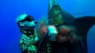 Spearfishing Blue Marlin in Hawaii  Bluewater Hunting [upl. by Calley431]