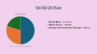 Budget Rule 503020 Example 20hour [upl. by Derk851]