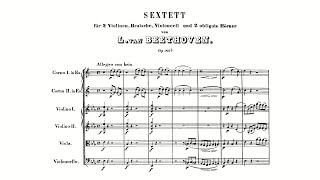 Beethoven Sextet in Eflat major Op 81b with Score [upl. by Atews638]