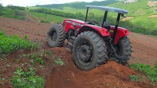 O trator MF traçado ficou atolado em cima da serra o MF290 foi puxar [upl. by Haikezeh618]