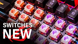 These New ROG Switches Change EVERYTHING [upl. by Neggem]