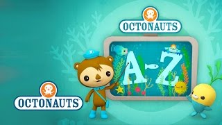 Octonauts Creatures A to Z US Version [upl. by Nevetse]