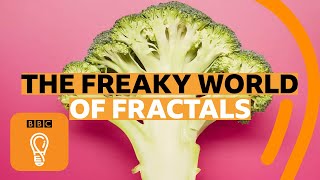 How fractals can help you understand the universe  BBC Ideas [upl. by Ylrrad661]