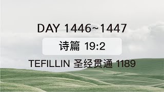 Tefillin Day 14461447 诗篇 192 宣布圣经 50次 [upl. by Aslin]