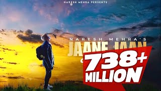 JAANE JAAN OFFICIAL SONG  Naresh mehra [upl. by Nosdrahcir]