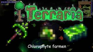 Chlorophyte farmen Terraria Tutorial [upl. by Mchail48]