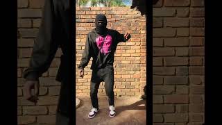 Tyler ICU  Ebasini Wavfiles ft LeemckrazyTman XpressCeeka RSA Amapiano Dance Video [upl. by Coad]