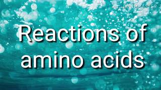 Reactions of amino acids [upl. by Accissej]