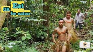 Documentary The Matses tribes in the Amazon Part 2 [upl. by Yenterb]