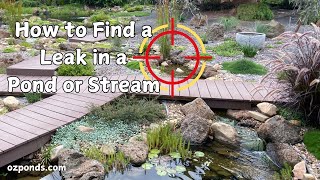 How to find a leak in a pond or stream [upl. by Ambrosia]