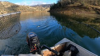 Scouting for Landlocked King Salmon and Trout  Bonus Video Lake Berryessa [upl. by Norrahs]