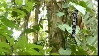 地平線上這個世界那些人 黃翠如 Epi12 [upl. by Leith722]