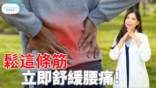 鬆這條筋立即舒緩腰痛脊醫王鳳恩 中Eng Sub Do this stretch to relief lower back pain  Dr Matty Wong DC [upl. by Ylrac]