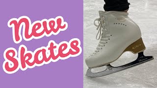 Getting New Edea Skates [upl. by Shellans]