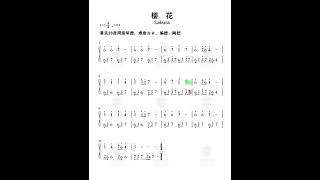 Sakura  seeds kalimba tabs kalimbatabs marimbas kalimbamusic kalimbasongs [upl. by Snow]