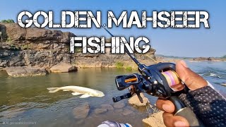 Golden Mahseer Fishing  Snakehead Fishing  wollago attu Fishing  Today is All Fishing [upl. by Anoyek701]