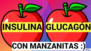 INSULINA Y GLUCAGON CON MANZANITAS [upl. by Nylzaj]