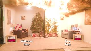 Video toont hoe snel een kerstboom in brand vliegt [upl. by Aznerol]