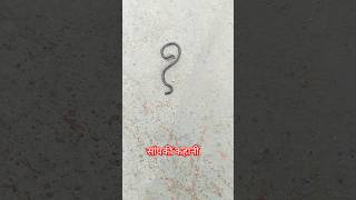 trending youtubeshorts viral snake shortvideo shorts short viralvideo subscribe [upl. by Piselli]