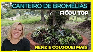 Ganhei bromélias  repaginei o canteiro  pintei e coloquei mais bromélias  ficou top demais [upl. by Eilarol]