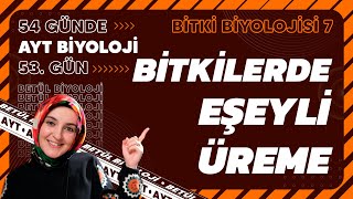 53 Bitkilerde Eşeyli Üreme  Bitki Biyolojisi  12 Sınıf Biyoloji  2024 AYT Biyoloji 53 Gün [upl. by Valery713]