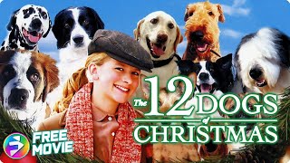 THE 12 DOGS OF CHRISTMAS  Full Family Dog Movie  JordanClaire Green Tom Kemp [upl. by Assirehs]