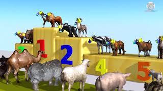 Funny Cartoon Animals Wild Relay Race 100m with Animals Farm Indoor Playground for Children [upl. by Nesaj926]