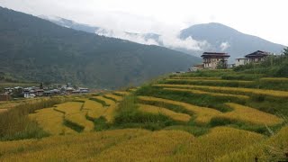 Punakha Butan Bhutan [upl. by Grissom]