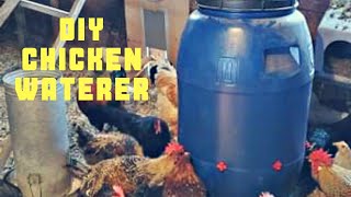 DIY chicken waterer using a 50 gallon food grade barrel [upl. by Hayyim]