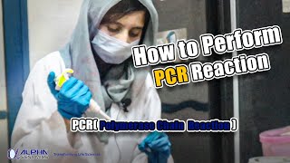 Performing PCR Polymerase Chain Reaction Tutorial  Alpha Genomics [upl. by Netfa]