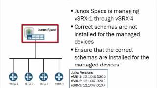 Junos Space DMI Schemas [upl. by Moor166]