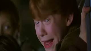 HD Harry Potter  Crying At Cedrics Death Harry potter and the Goblet of Fire [upl. by Asile]